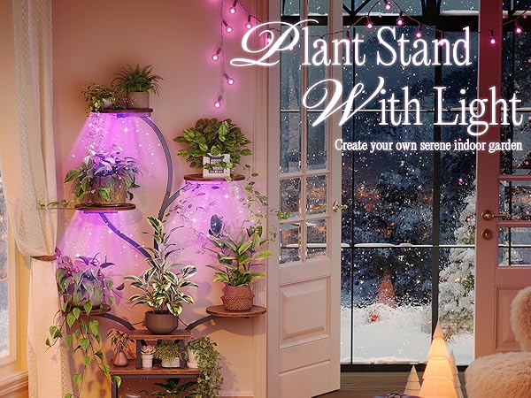 PLANT RACK