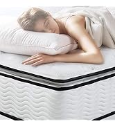 EASELAND Queen Size Mattress - 10 inch Bamboo Pillow Top Hybrid Mattress in a Box, Innerspring & ...