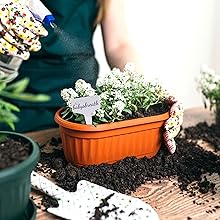 plant lables