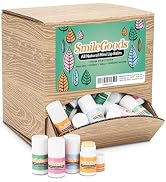SmileGoods All Natural Mini Lip Balms with Dispenser Box, Assorted Flavors, 120 Count