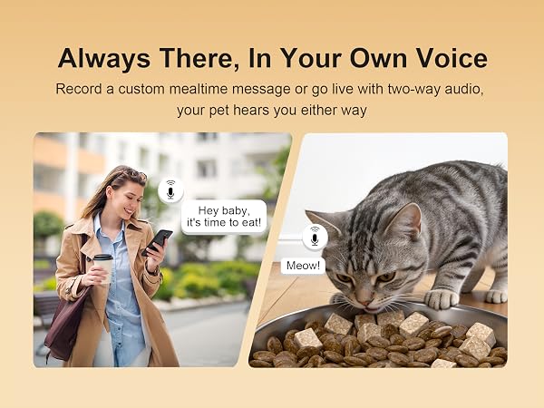 Automatic Cat Feeder with 2K Camera 5G/2.4G WiFi 6.5L Smart Pet Feeder for Cat & Small Dog