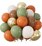 Adeyoo Fall Balloons, Sage Green and Orange for Thanksgiving Harvest Decor | 50 PCS 12 Inch Sage ...