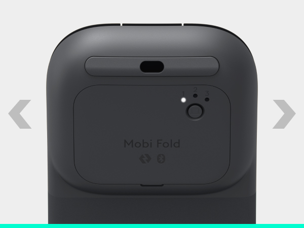 a back of a mouse