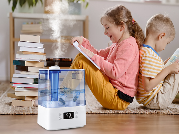 demineralization cartridge for humidifier