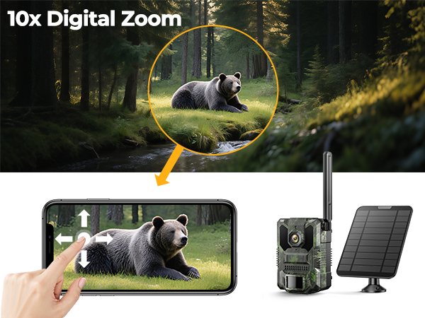 Trail Camera