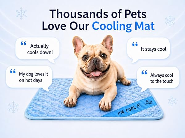 cooling mat Inspector Tai