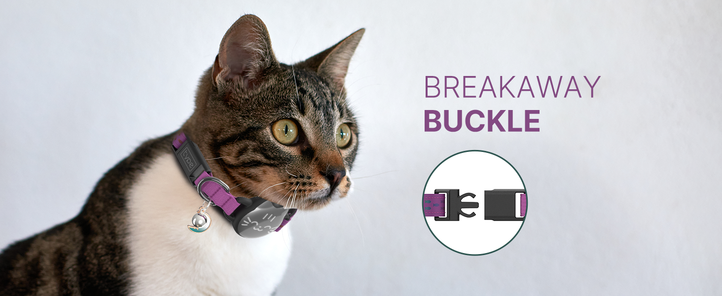 BREAKAWAY BUCKLE CAT COLLAR
