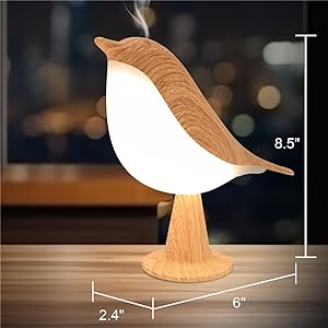 Dimmer Kids Night Light for Bedroom