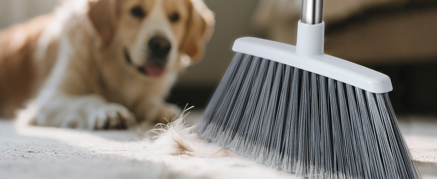 Pet hair broom PC
