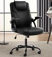 Executive Office Chair