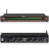 MICNAUX Equalizer for Home Stereo Audio System, Professional 31-Band Graphic Equalizer Rack Mount...