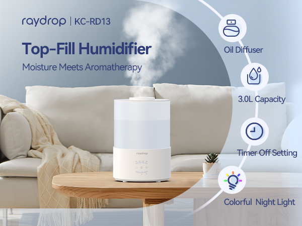 Humidifier