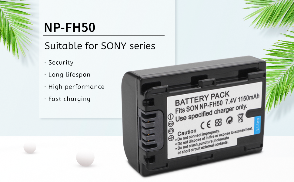 NP-FH50