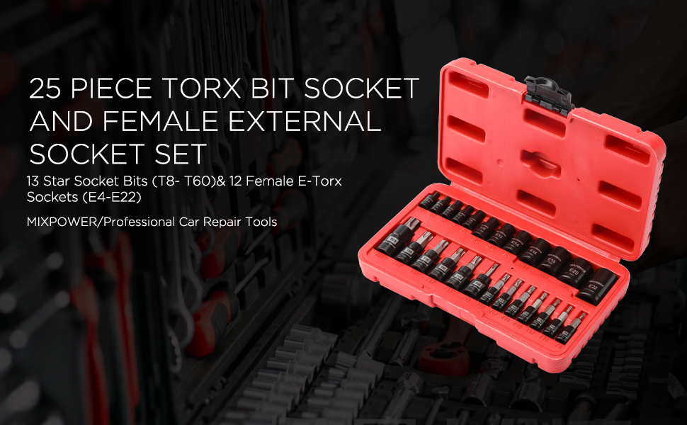 25 Piece Torx Bit Socket and Female External Socket Set