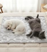 dog cooling mat