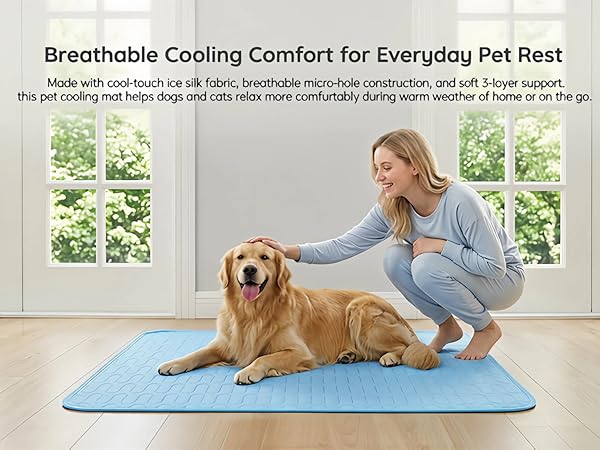 Breathable Cooling Comfort for Everyday Pet Rest