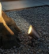 low voltage landscape lights