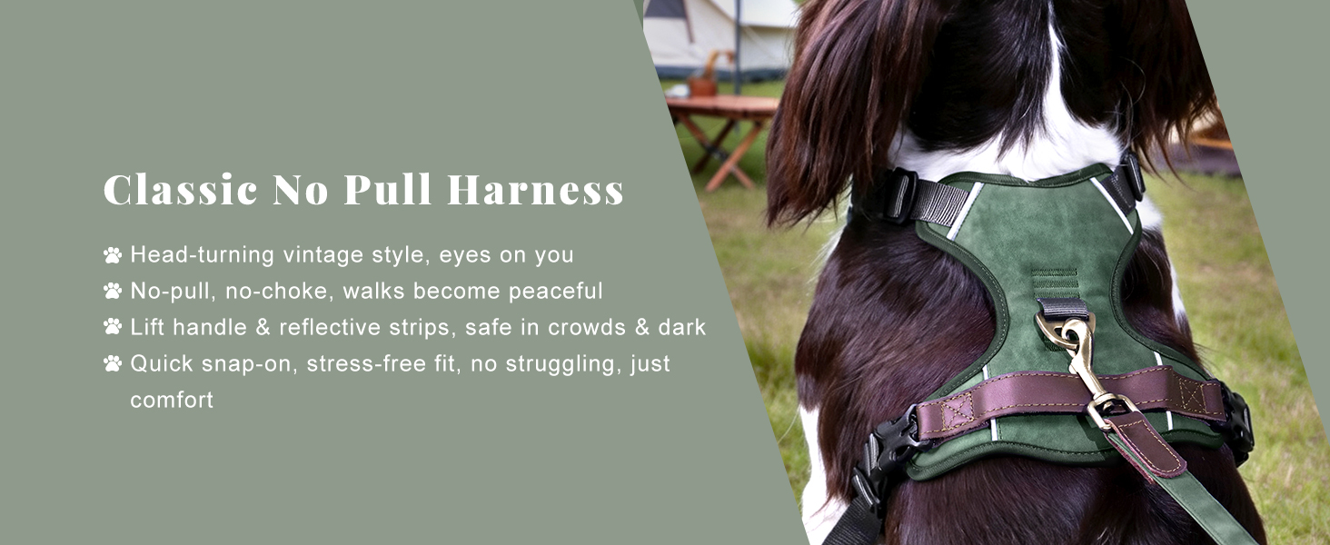 no choke dog harness