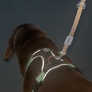 leashrr 2.0 has ultra-reflective stitching down the length of the leash