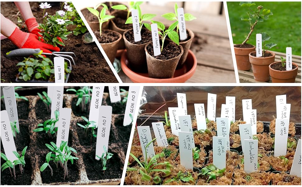 plastic plant labels