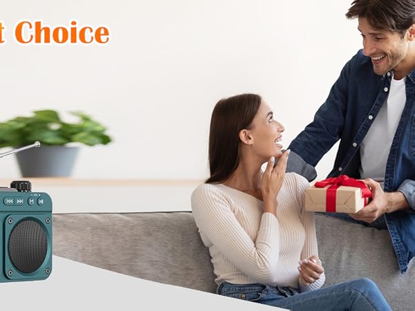 FM Bluetooth Speaker