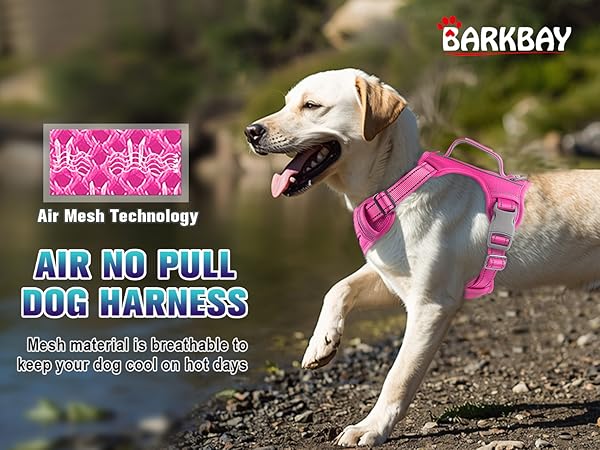 Dog wearing a no pull dog harness dog harness medium sized dog pink dog harness for large dogs