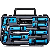 29 Piece MECHMAX Magnetic Screwdriver Set, Phillips, Slotted, Hex, Star, Square Tip, Chrome Vanad...