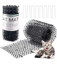 https://m.media-amazon.com/images/I/51%2BC%2BG9ZTOL.__AC_SR200,225___.jpg