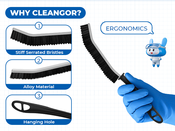 Cleangor Cleaning Brushes
