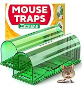 Humane Catch and Release Indoor/Outdoor Mouse Traps Pack of 2 - Easy Set Durable Traps, Safe for ...