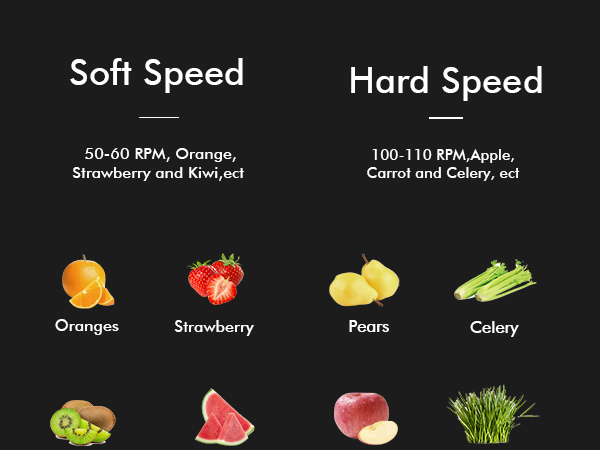 SiFENE Masticating Juicer Classic 3009- fits fruits and vegetables such as oranges, wheatgrass, pear