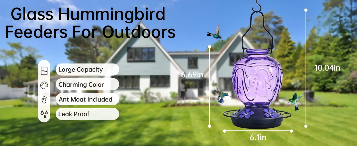 hummingbird feeder glass