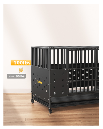 https://m.media-amazon.com/images/S/aplus-media-library-service-media/07022bcf-0043-457c-82d2-7ce33fd8cbce.__CR0,0,362,453_PT0_SX362_V1___.jpg