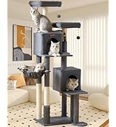 Cat Tree Tower for Indoor Cats Large Adult - 65 inch Extra Tall Cat Condo Trees with Scratching P...