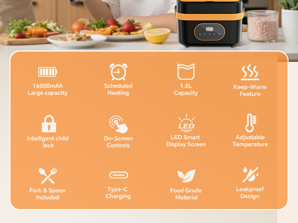 heated lunch box