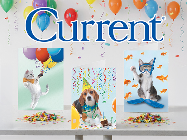 Birthday Cards on Table with Baloons and confetti