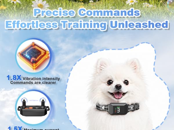Small Shock Collar for Dogs