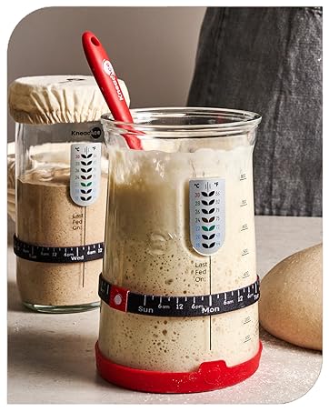 sourdough starter jar kit