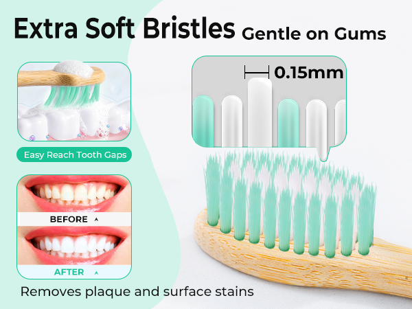 travel toothbrush kit