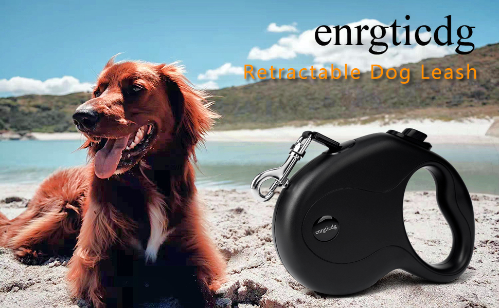 enrgticdg