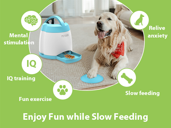 dog toy