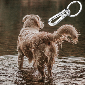Dog clip