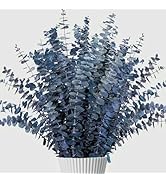 26Pcs Real Dried Eucalyptus Stems, 17" Blue-Green Preserved Eucalyptus Stems for Vase, Home Decor...