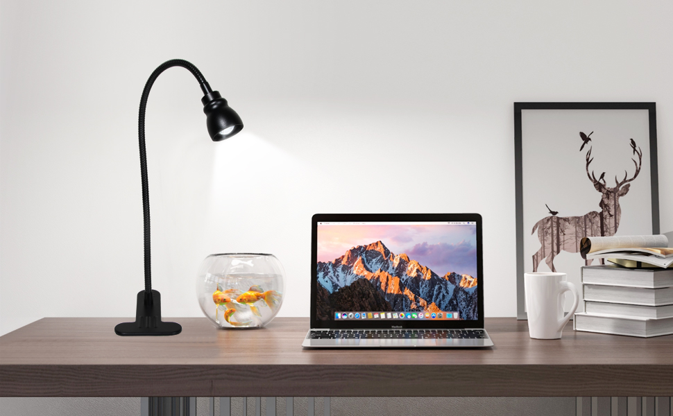 Clip Desk Lamp-01