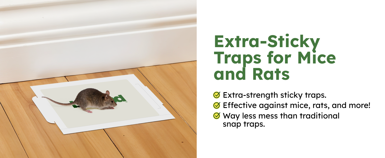Extra-Sticky Traps for Mice and Rats Extra-strength sticky traps Effective against mice, rats