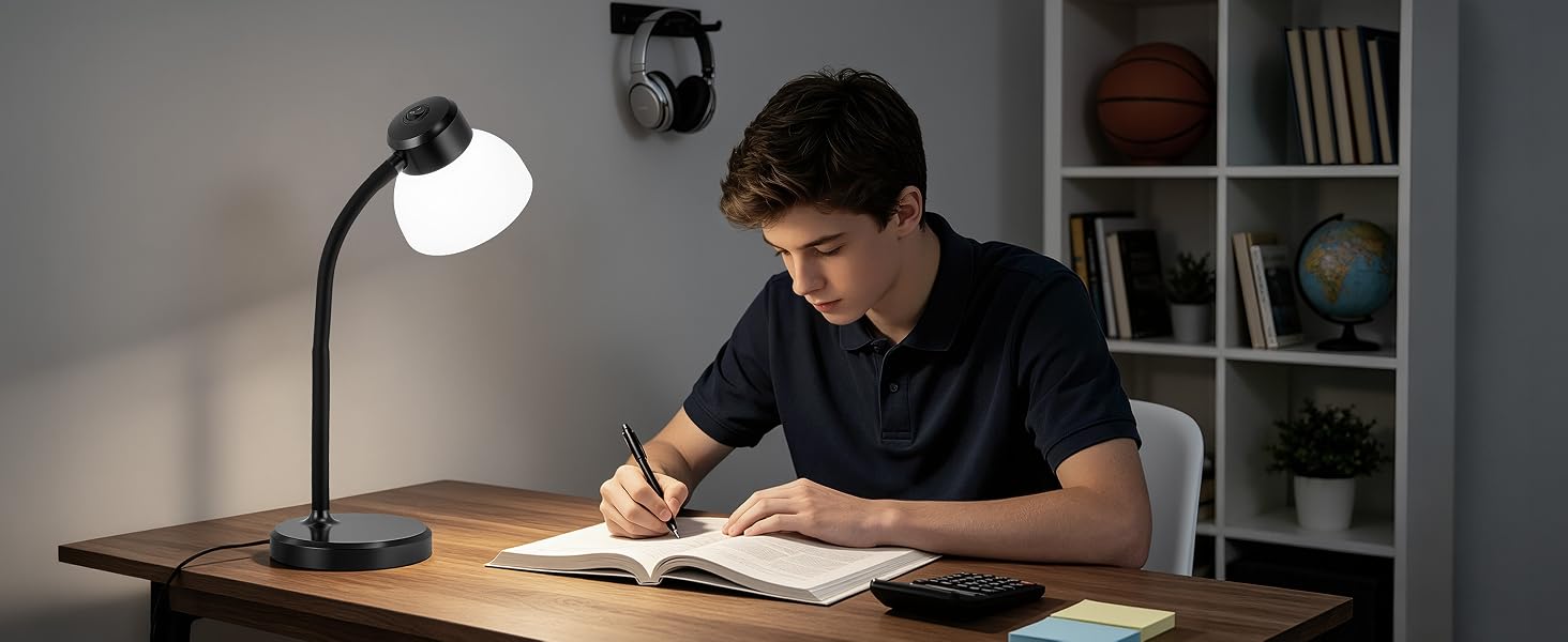 Reading Lamp