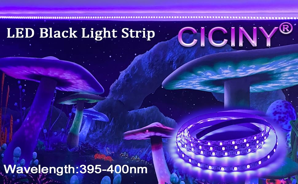 Black Light Strip