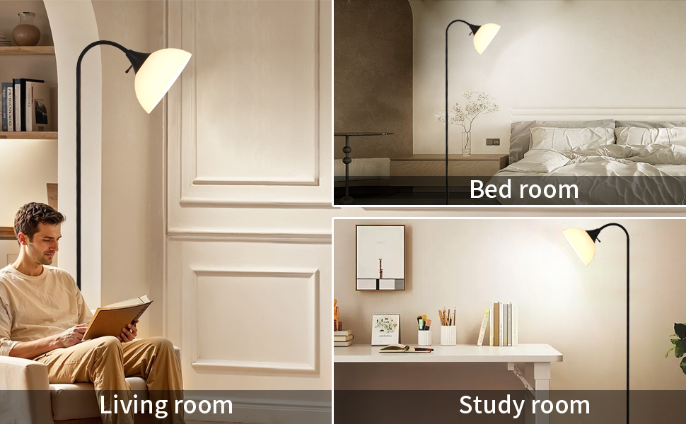 Adjustable Gooseneck Floor Lamp