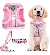 PUPTECK Adjustable Dog Harness Collar and Leash Set Step in No Pull Pet Harness for Small Medium ...