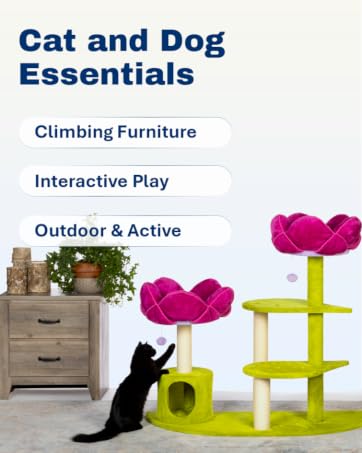 Cat and Dog Essentials